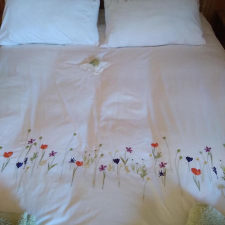 Les Dames De La Saugiat Bed & Breakfast Le Fied Exterior foto
